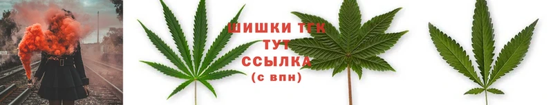 Бошки марихуана OG Kush  продажа наркотиков  Выборг 